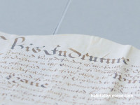 Article Photo