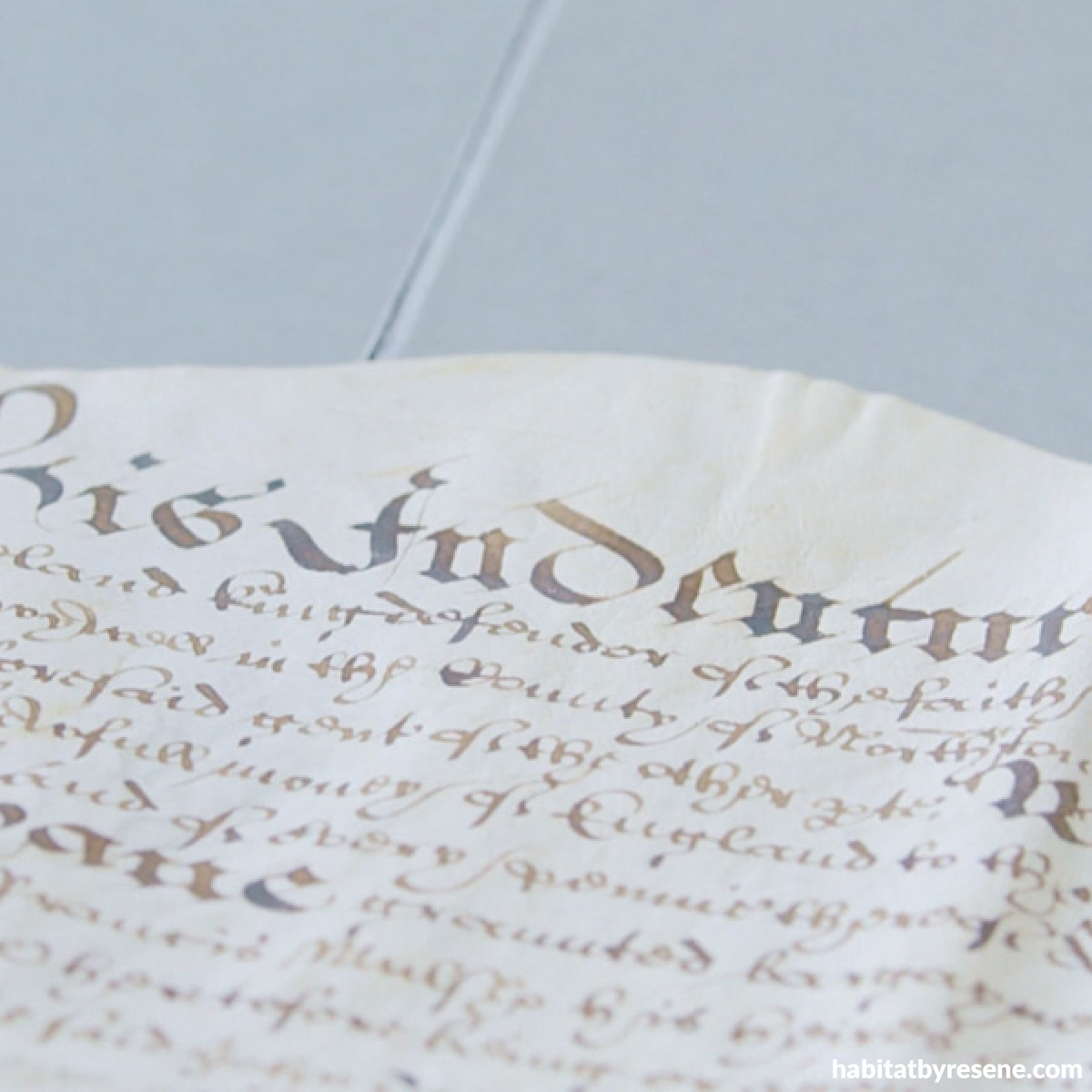 Eketahuna's mystery document Habitat by Resene