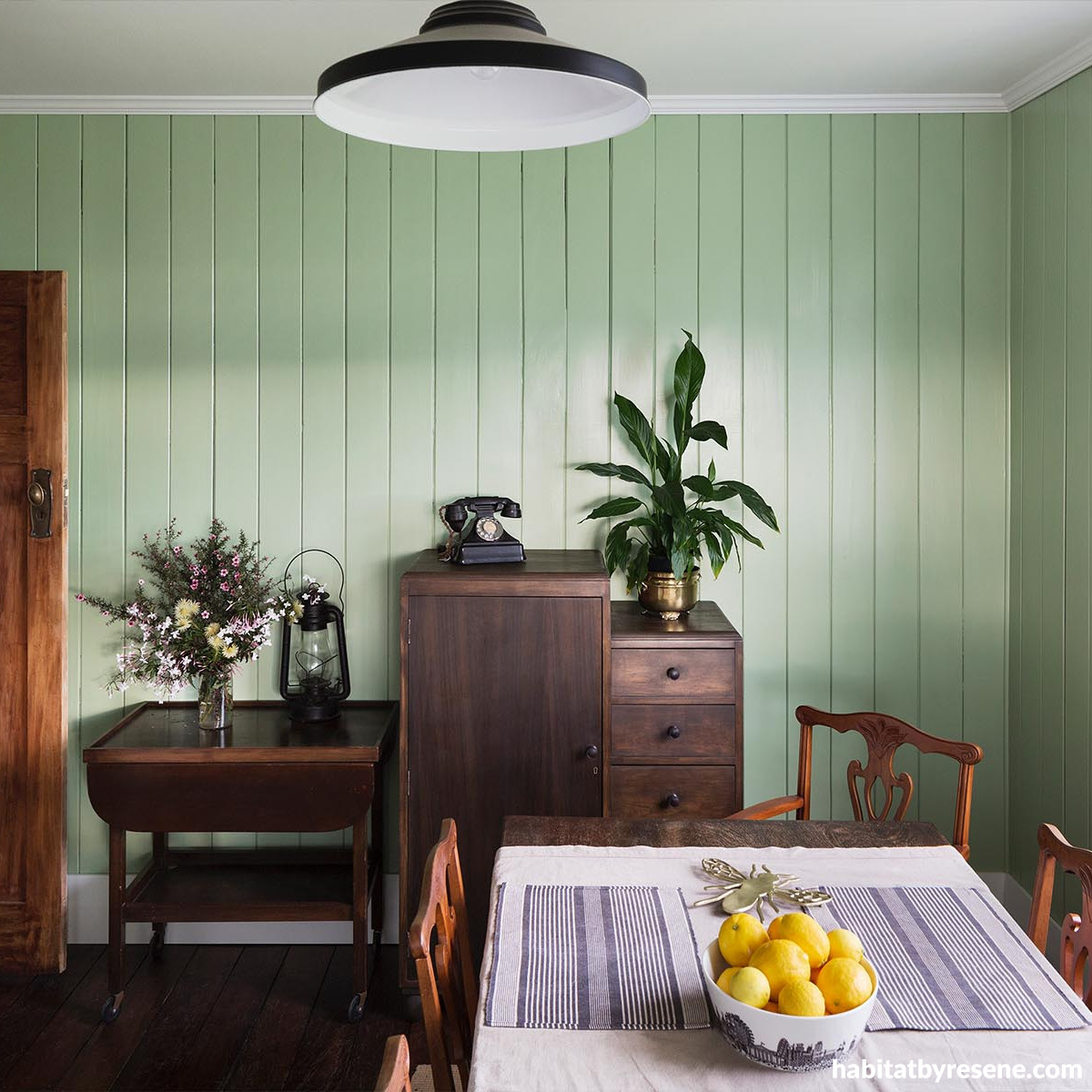 Great green ideas to transform your home into an indoor oasis Habitat