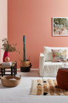 These design pros tell us which three Resene colours they’re crushing on
