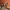 terracotta lounge orange walls