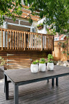 Kelly Gammie gives her Auckland home a light and bright lift