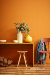 orange dining room, orange room, orange decorating ideas, decorating with orange, dining room inspo, Resene