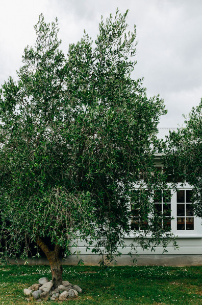 Off the wall: This 111-year-old villa gets a modern update with hand-painted wallpaper and zesty lime green Off the wall: This 111-year-old villa gets a modern update with hand-painted wallpaper and zesty lime green