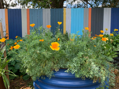 This artist’s Brisbane home is so colourful even the 85m fence is an elegant rainbow
