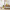 Yellow and Pink, Blush Interiors, Yellow Interiors, Pink Decor