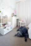Claire and Aaron craft an eclectic dream world out of a 1940s cottage
