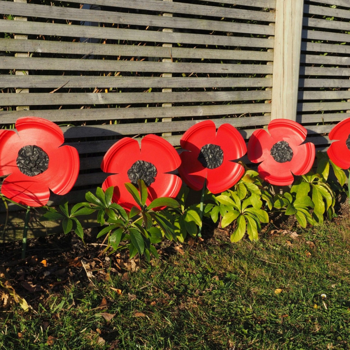 Make your own garden poppies Habitat by Resene