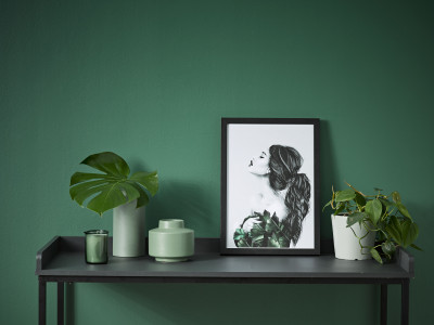 Great green ideas to transform your home into an indoor oasis 