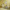 Yellow Paint, Tonal Interiors, Living Room Inspo, Resene Paint