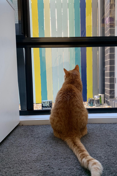 This artist’s Brisbane home is so colourful even the 85m fence is an elegant rainbow