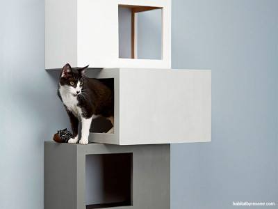 Creature comforts: Animal prints and wild room designs for grown-ups Creature comforts: Animal prints and wild room designs for grown-ups